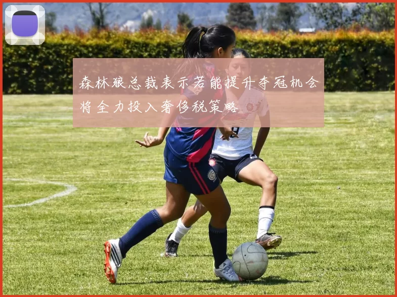 森林狼总裁表示若能提升夺冠机会将全力投入奢侈税策略
